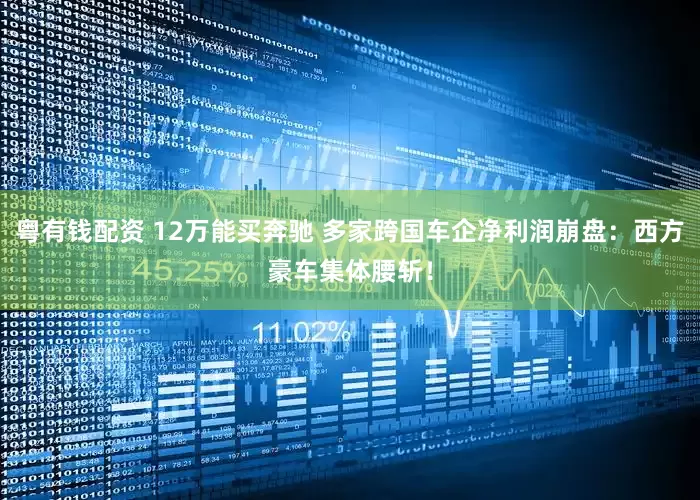粤有钱配资 12万能买奔驰 多家跨国车企净利润崩盘：西方豪车集体腰斩！