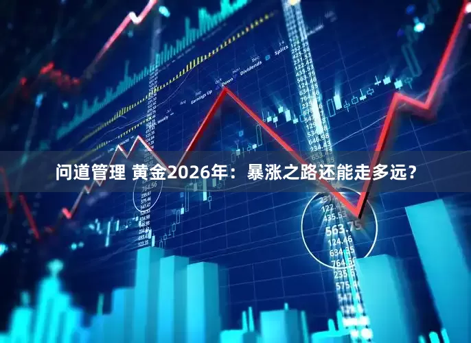 问道管理 黄金2026年：暴涨之路还能走多远？